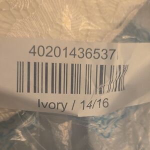 Ashley Stewart Ivory Wide Leg Pants